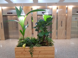 의미없는 이미지